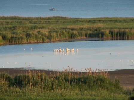 Ferienhaus »Pelikan« (126 m²) : Außensicht