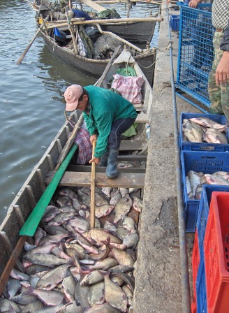 如里洛夫卡的港口