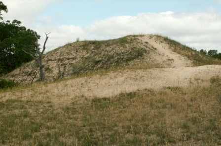 Pădurea Letea - peisaj de dune cu insule de pădure